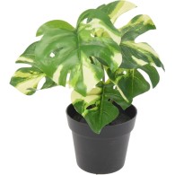 PLANTE ARTIFICIELLE  EN POT 24CM