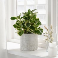 CACHE-POT EN CERAMIQUE BLANC 13 CM