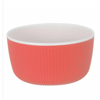 BOL EN PLASTIQUE 5 COULEURS ASSORTIES