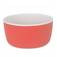 BOL EN PLASTIQUE 5 COULEURS ASSORTIES