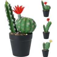 CACTUS EN POT 25CM 3 ASSORTIS