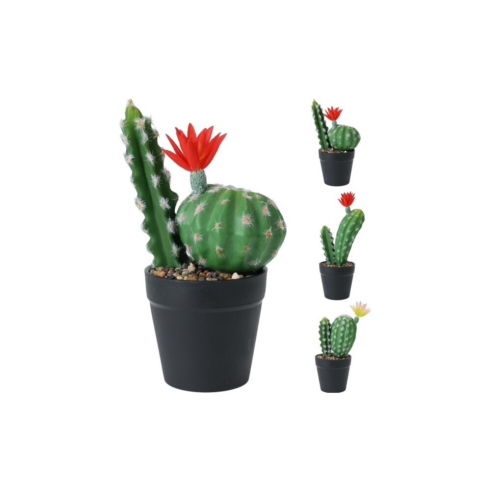 CACTUS EN POT 25CM 3 ASSORTIS