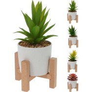 ALOE VERA ET SUCCULENTES EN POTS BLANCS SUR SUPPORT EN BOIS