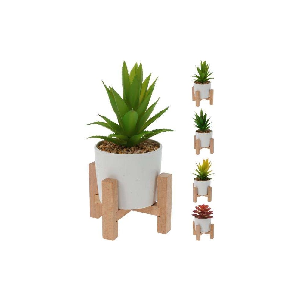 ALOE VERA ET SUCCULENTES EN POTS BLANCS SUR SUPPORT EN BOIS