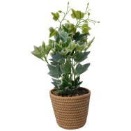 PLANTE ARTIFICIELLE LIERRE DANS POT EN CORDE DE COTON