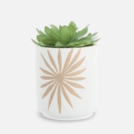 PLANTE AVEC POT EN CIMENT 3 MODELES ASSORTIS