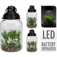 PLANTE EN POT DE VERRE DÉCORATIF AVEC ÉCLAIRAGE