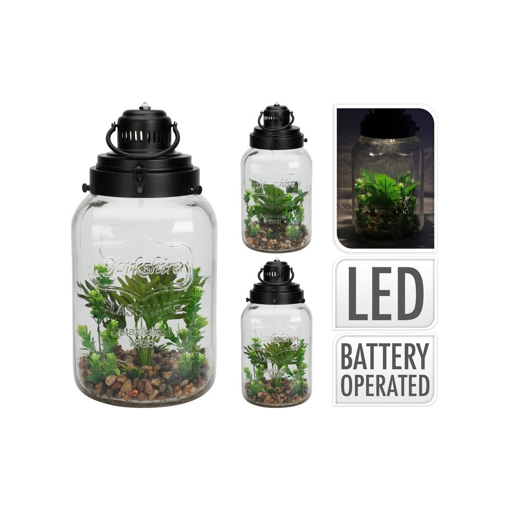 PLANTE EN POT DE VERRE DÉCORATIF AVEC ÉCLAIRAGE