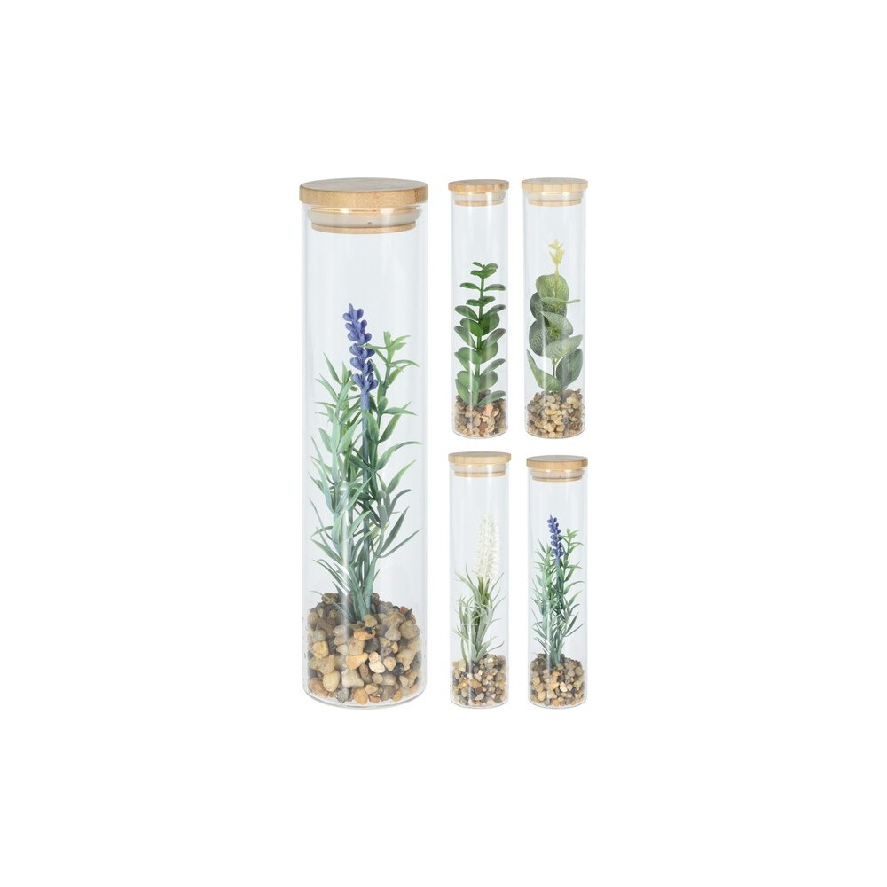 PLANTE EN VERRE AVEC COUVERCLE EN BAMBOU 20 CM