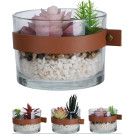 PLANTE EN POT DE VERRE 4 ASSORTIS