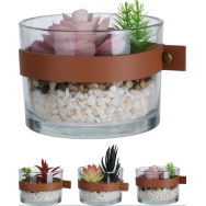 PLANTE EN POT DE VERRE 4 ASSORTIS