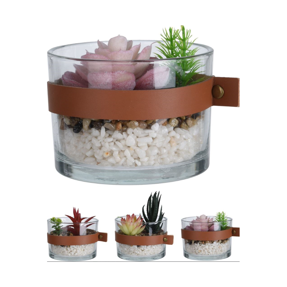 PLANTE EN POT DE VERRE 4 ASSORTIS