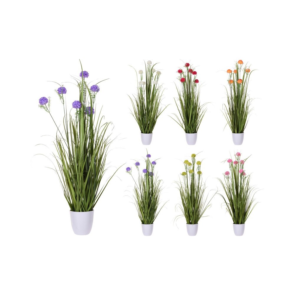 PLANTE EN POT 6 ASSORTIS