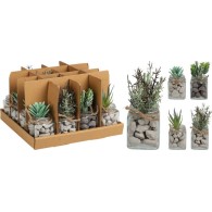 PLANTE DÉCORATIVE EN POT 13 CM