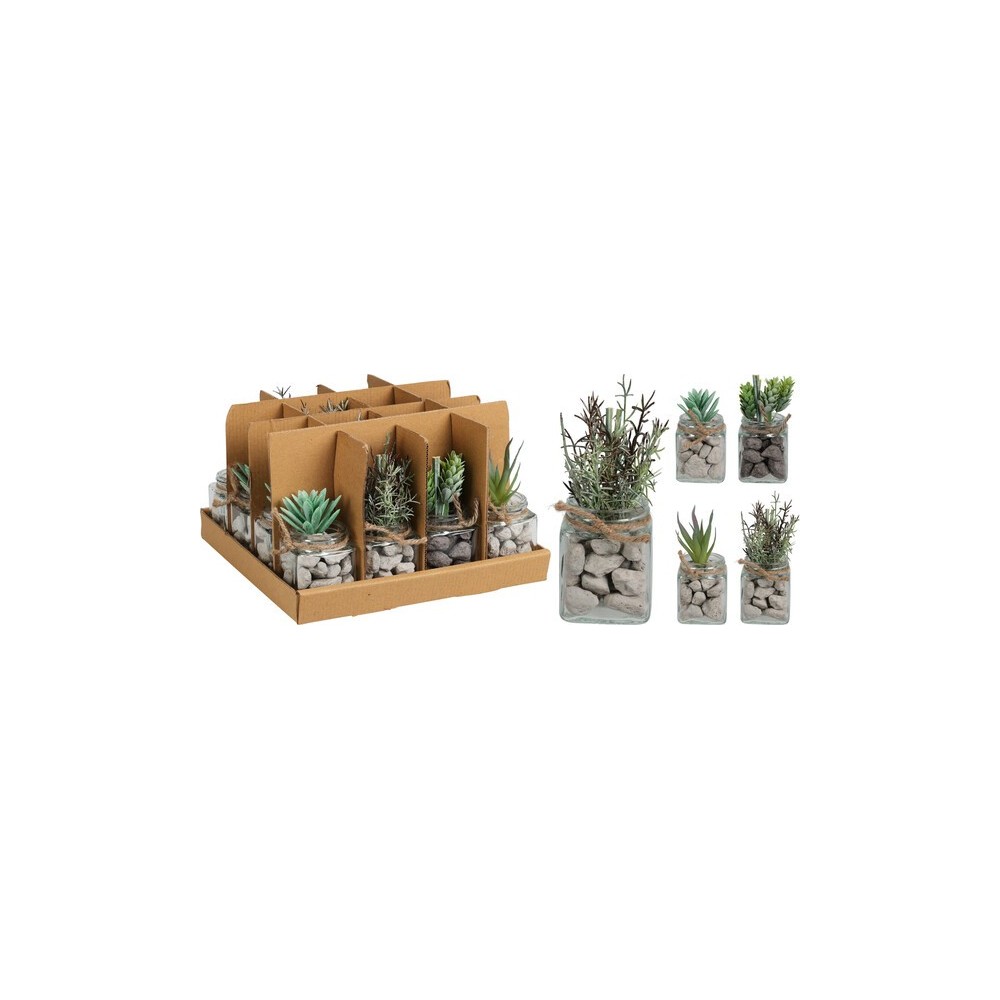 PLANTE DÉCORATIVE EN POT 13 CM