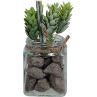 PLANTE DÉCORATIVE EN POT 13 CM
