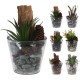 PLANTE ARTIFICIELLE 6  MODELES ASSORTIS