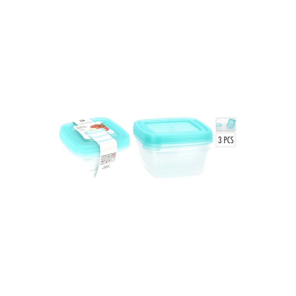 LOT DE 3 BOÎTES DE RANGEMENT 250 ml