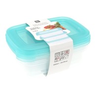 LOT DE 3 BOÎTES DE RANGEMENT 500 ml