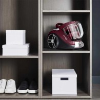 ASPIRATEUR SANS SAC POWER XXL 2,5 L 750 W - ROWENTA BORDEAUX